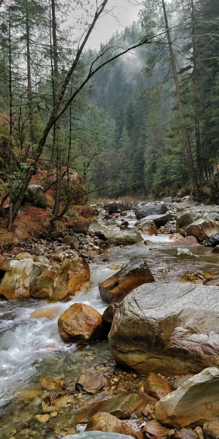 Photo of Himachal Pradesh By Rishav Vatsyayan