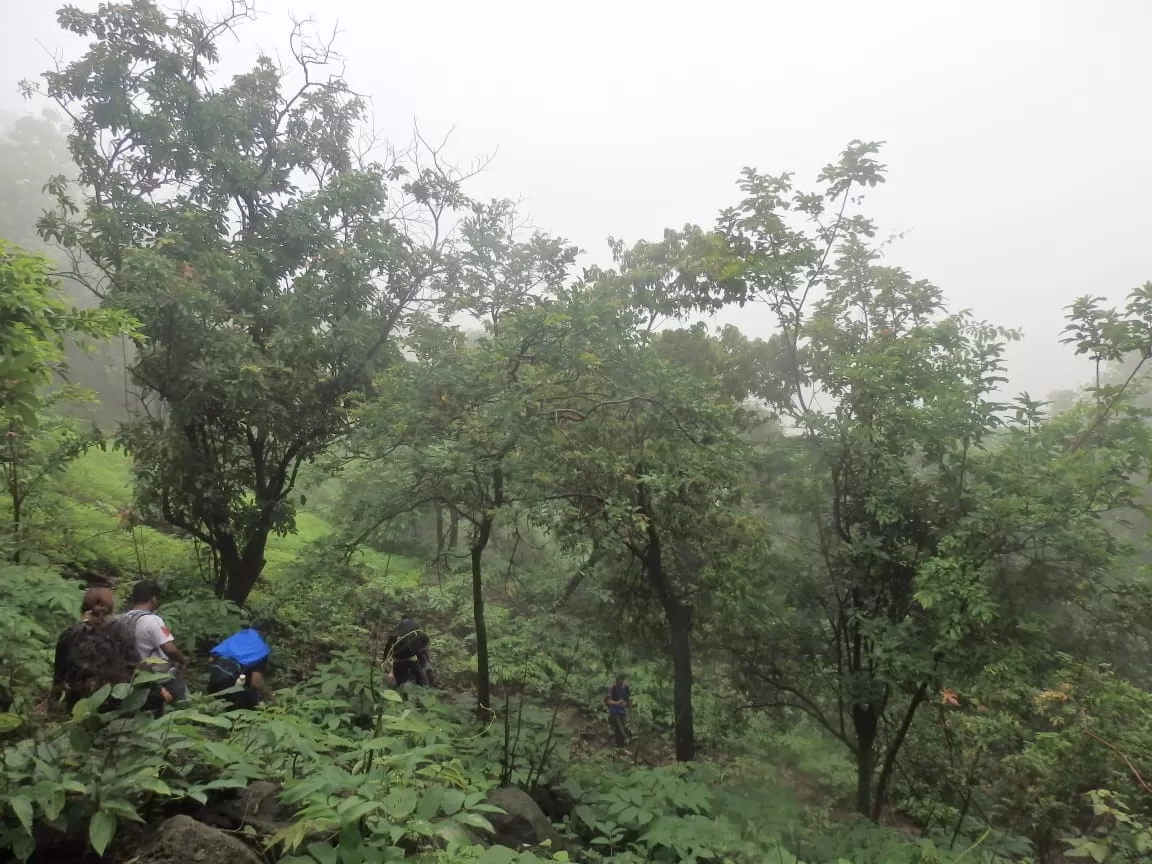 Photo of Kohoj Fort By Aryaman subramanian