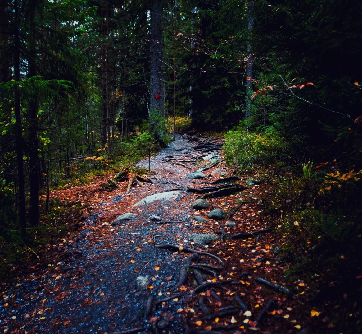 Photo of Nuuksio Reindeer Park By asutosh hota