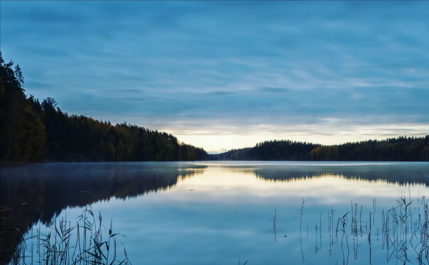 Photo of Nuuksio Reindeer Park By asutosh hota