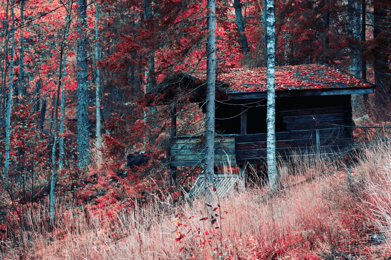 Photo of Nuuksio Reindeer Park By asutosh hota