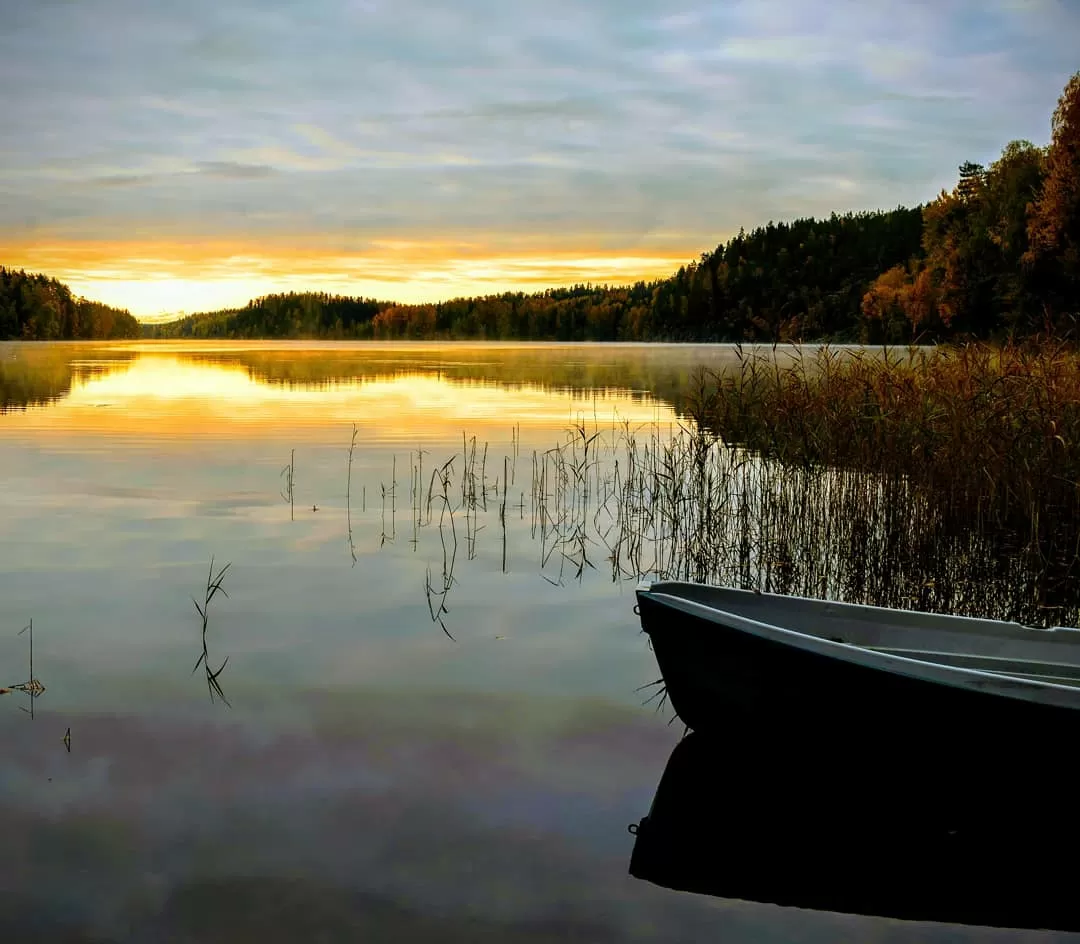 Photo of Nuuksio Reindeer Park By asutosh hota