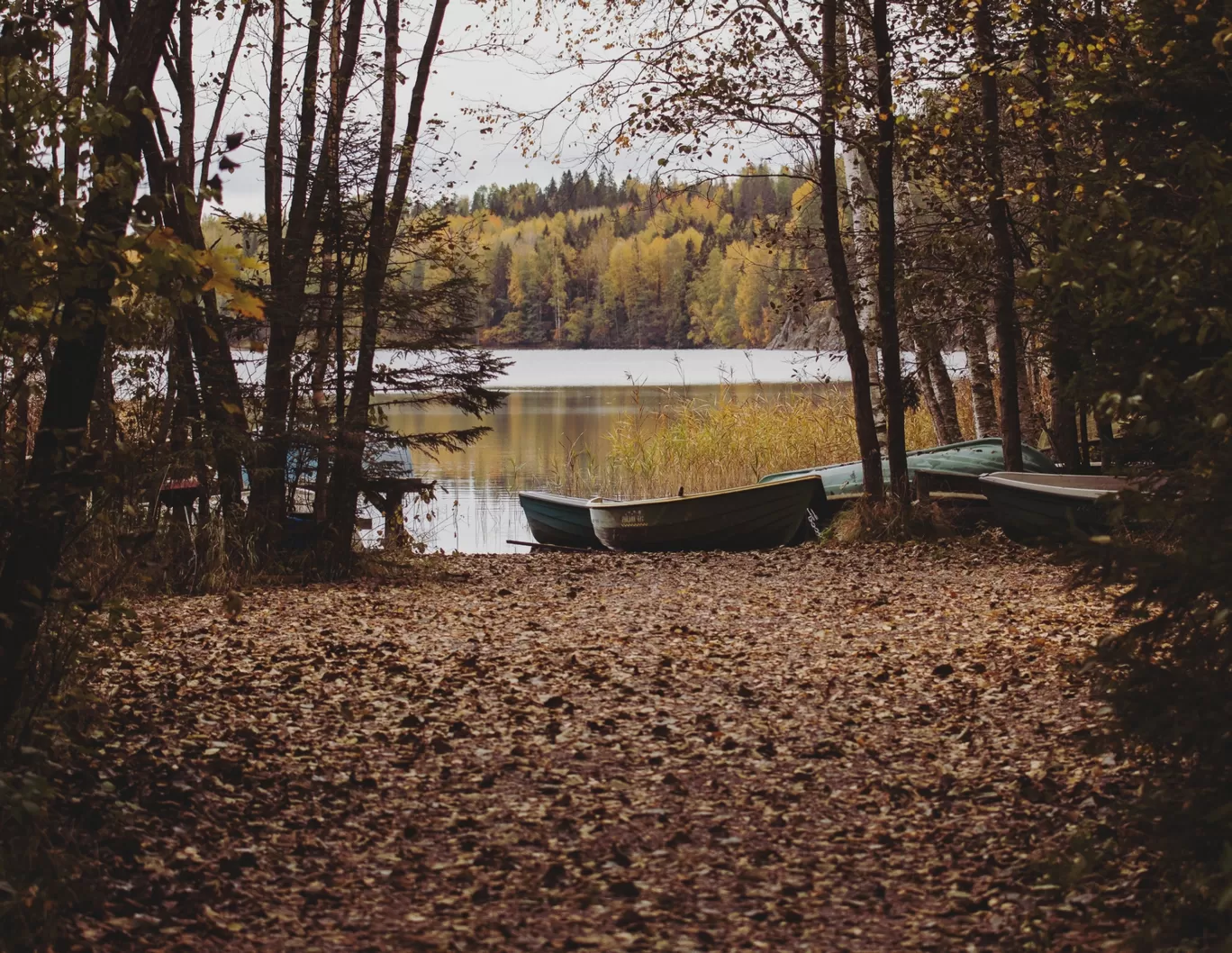 Photo of Nuuksio Reindeer Park By asutosh hota