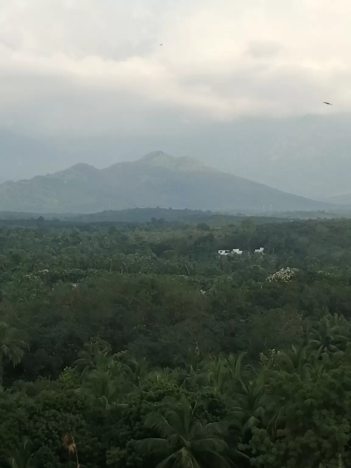 Photo of Vaniyambalam Para By Sreerang Ichigo