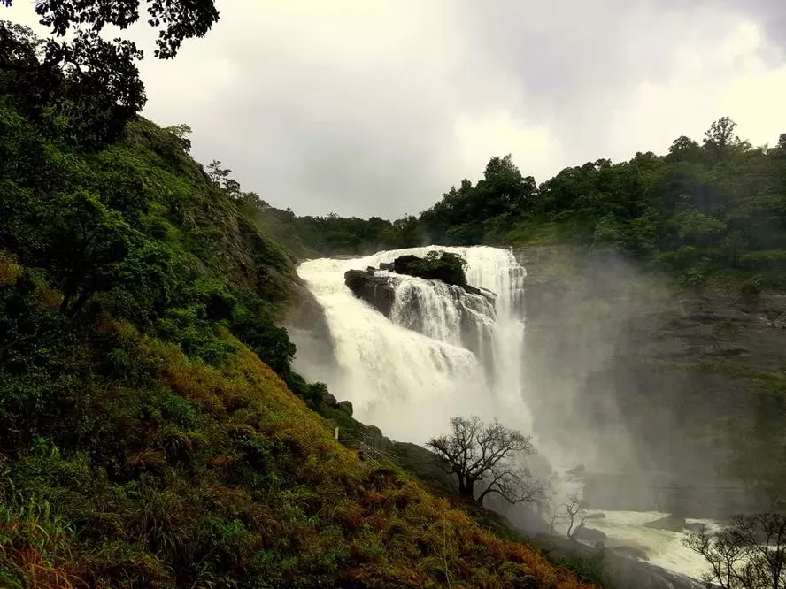 Photo of Mallalli Water Falls By Rajeshnag