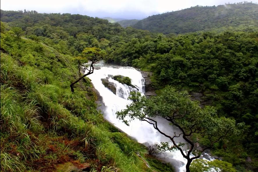 Photo of Mallalli Water Falls By Rajeshnag