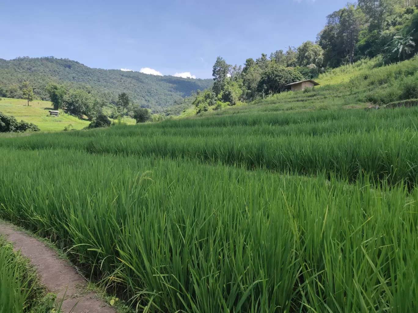 Photo of Thailand By Rahul Miglani