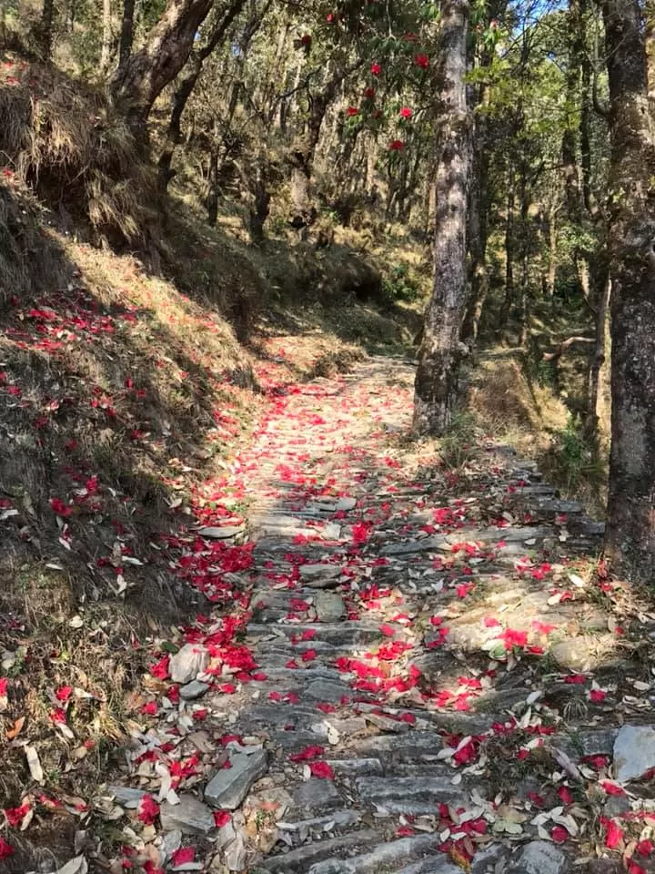 Photo of Mukteshwar By Enchanted Hills