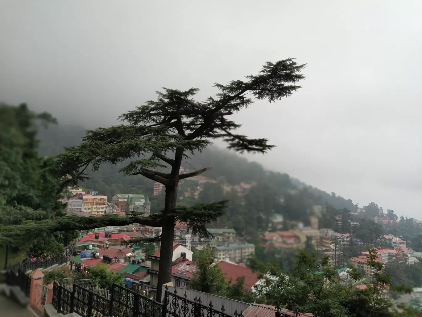 Photo of Shimla By Anshul Gour