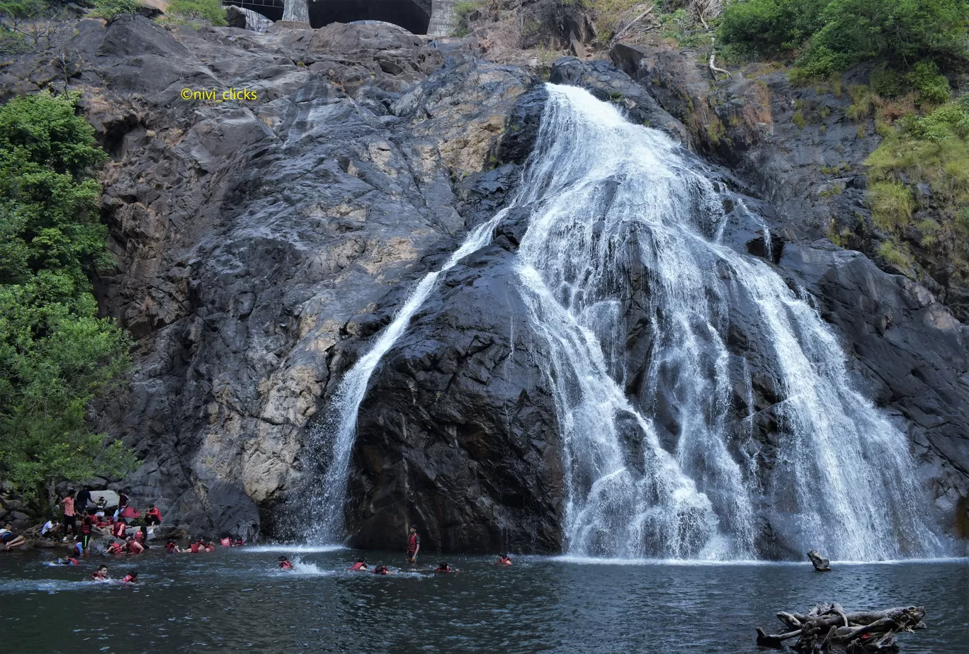 Photo of Dudhsagar Falls By Niwedita