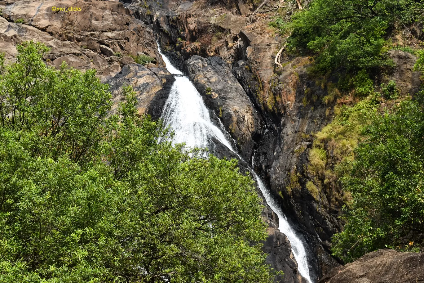 Photo of Dudhsagar Falls By Niwedita