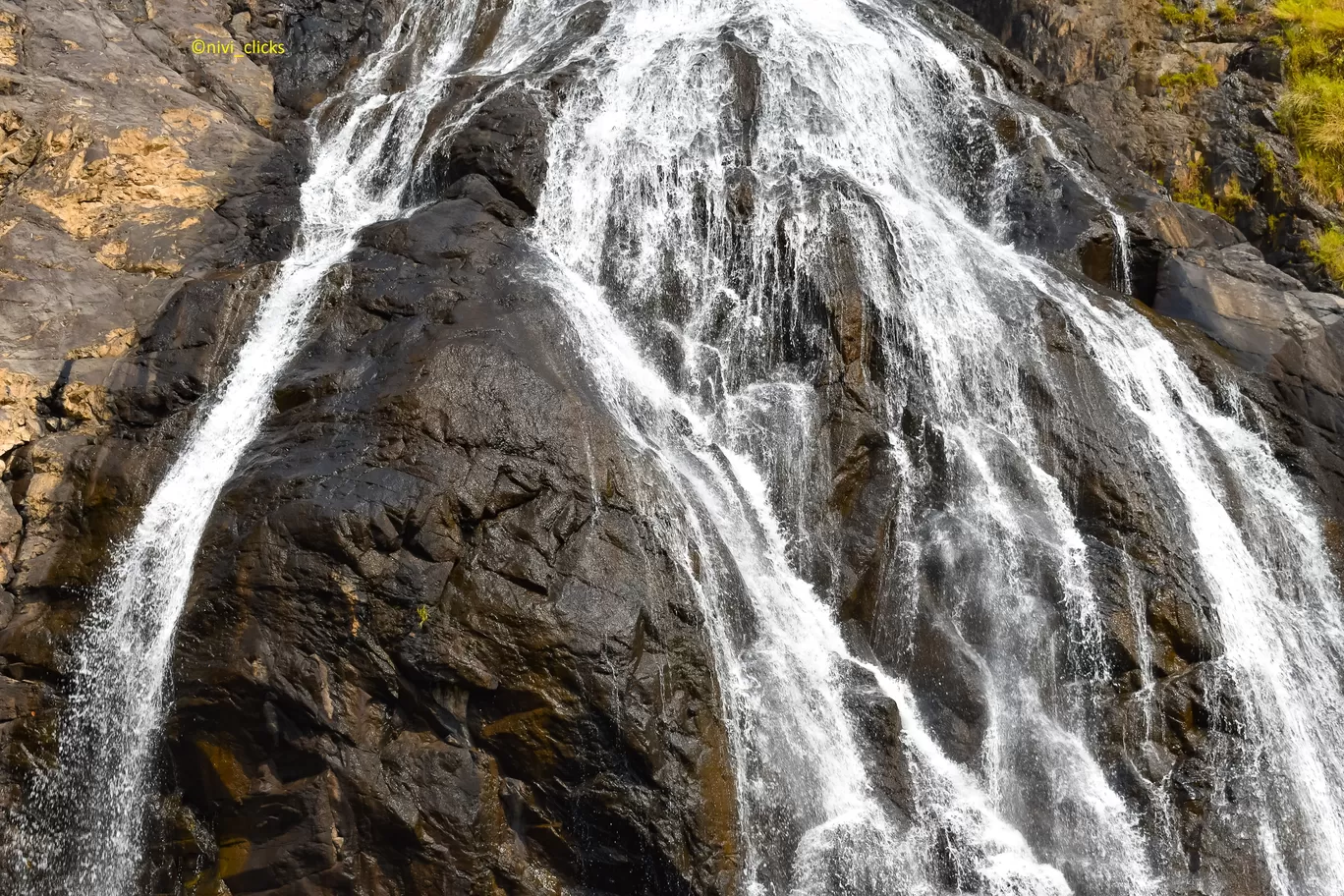 Photo of Dudhsagar Falls By Niwedita