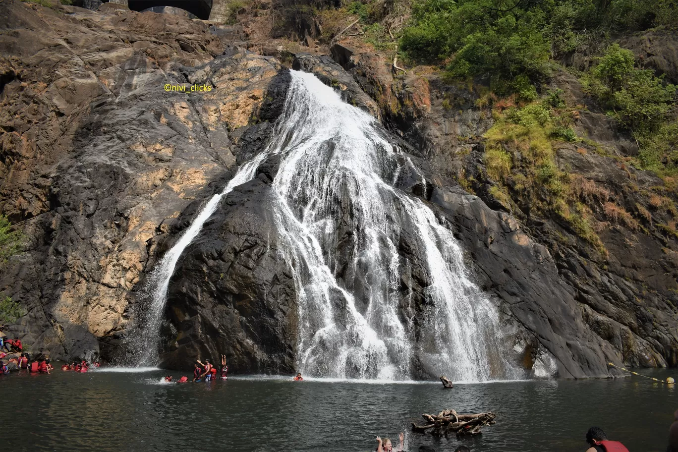 Photo of Dudhsagar Falls By Niwedita