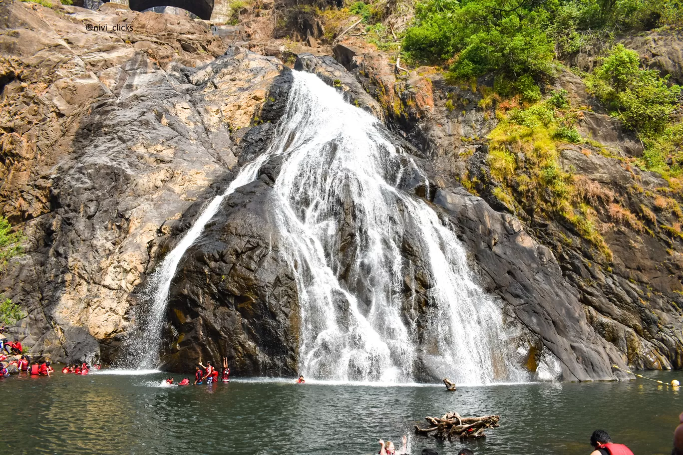 Photo of Dudhsagar Falls By Niwedita