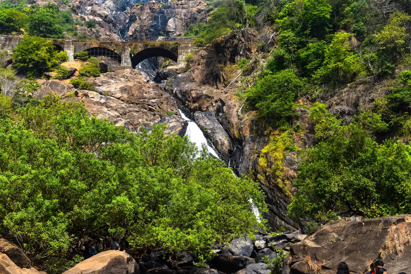 Photo of Dudhsagar Falls By Niwedita
