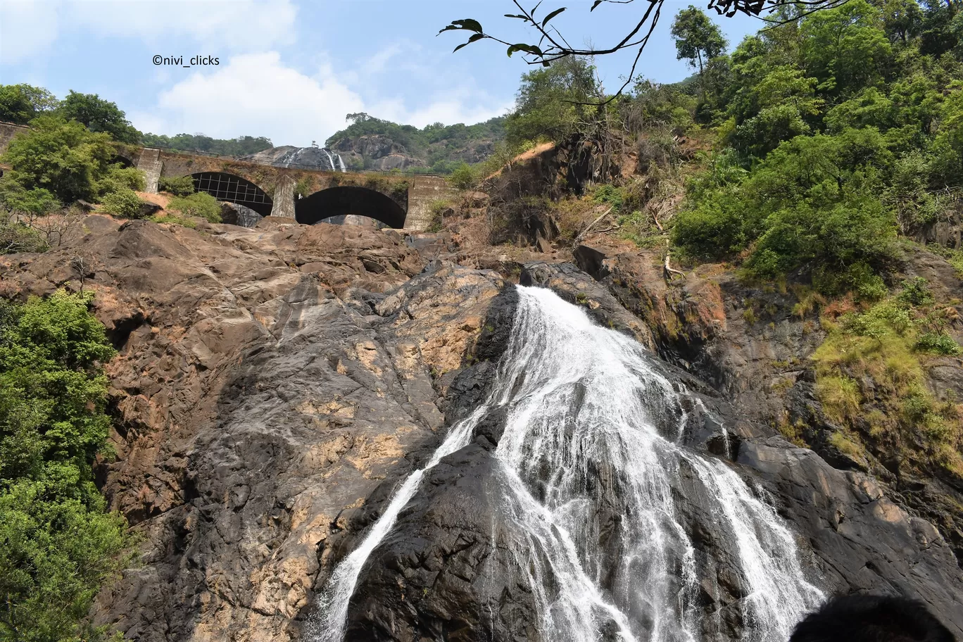 Photo of Dudhsagar Falls By Niwedita