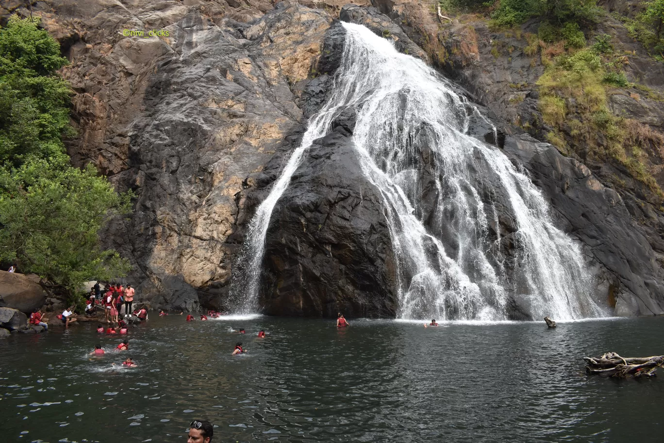 Photo of Dudhsagar Falls By Niwedita