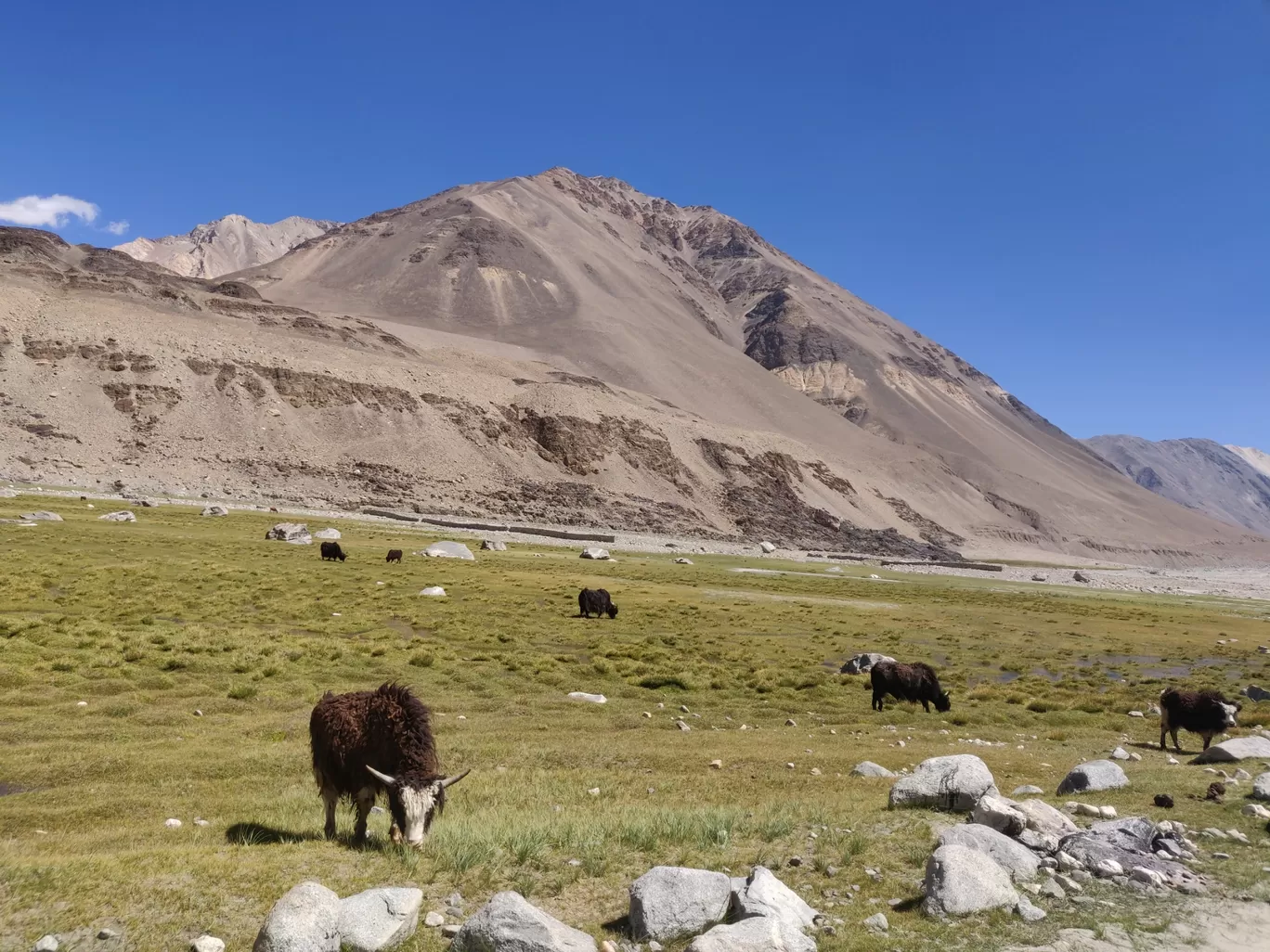 Photo of Ladakh By Maalvinder Singh