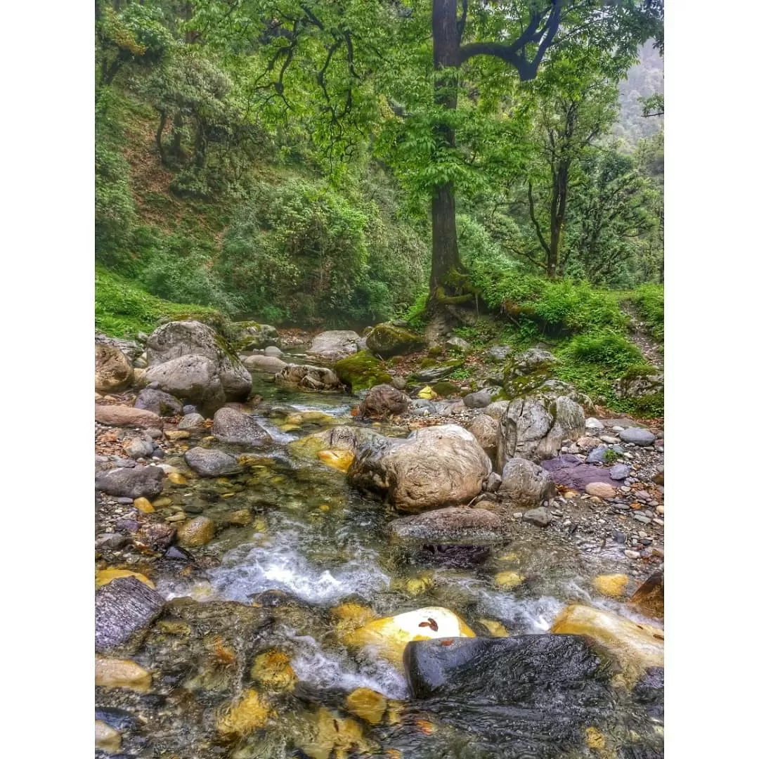 Photo of Roopkund Trek By Nitin Negi