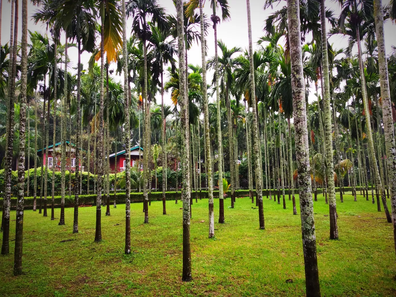 Photo of Kohima By gopala krishna