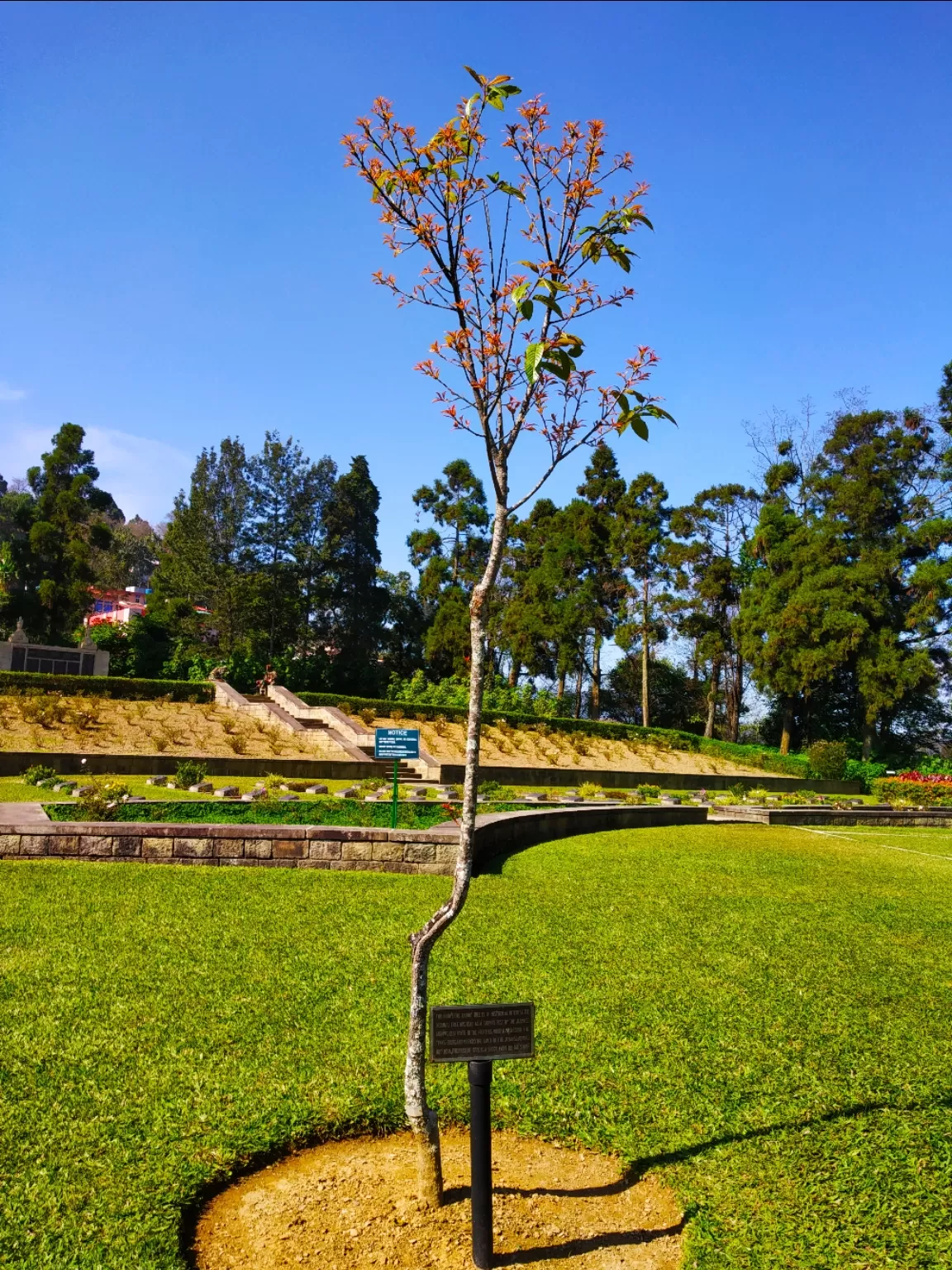 Photo of Kohima By gopala krishna