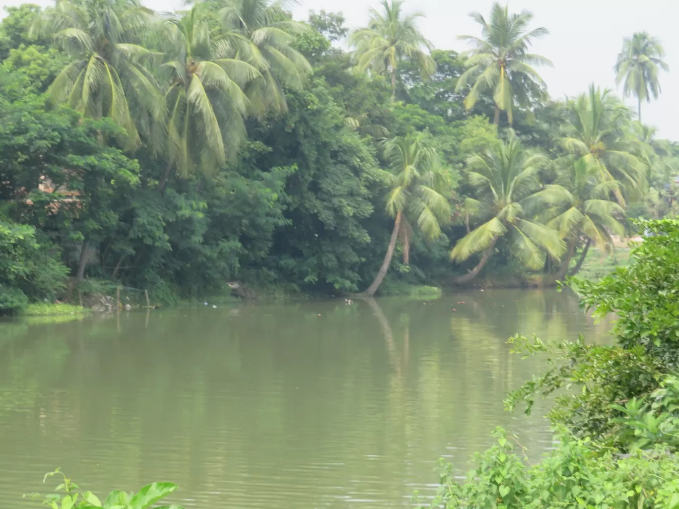 Photo of Falta By Sabarni Majumdar