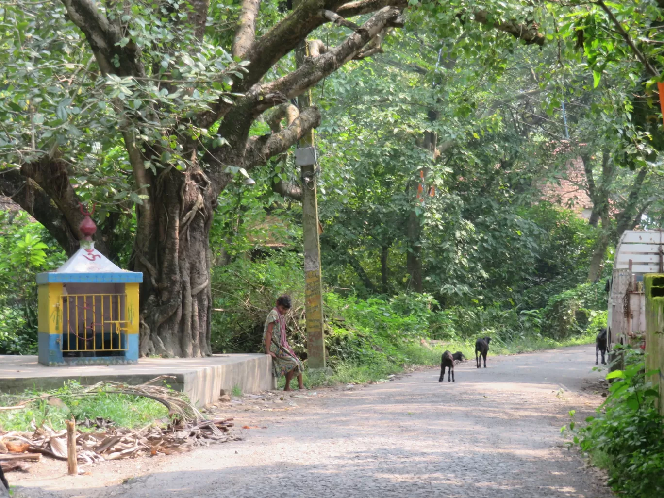 Photo of Falta By Sabarni Majumdar