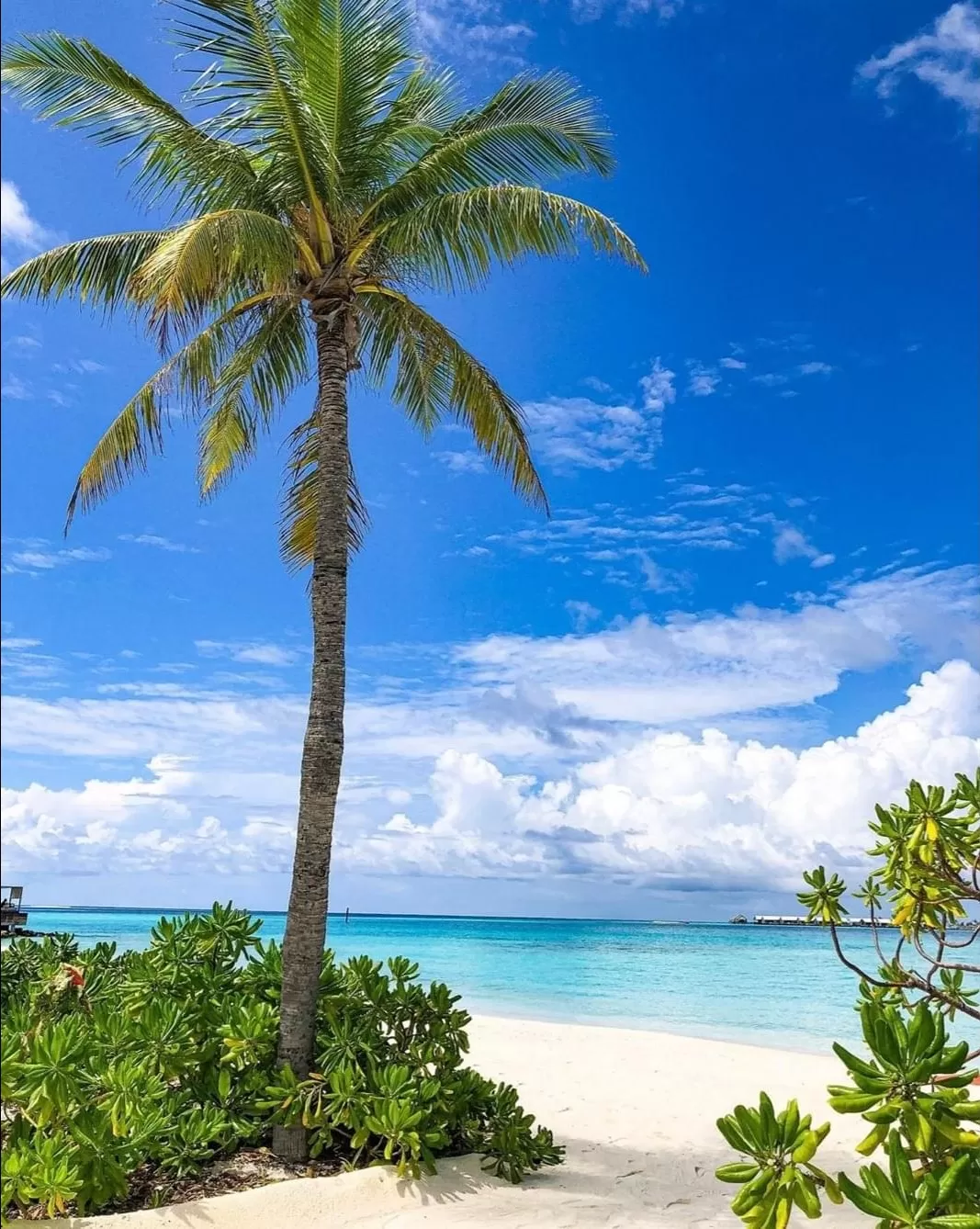 Photo of Maldive Islands By Raabit Ahmad