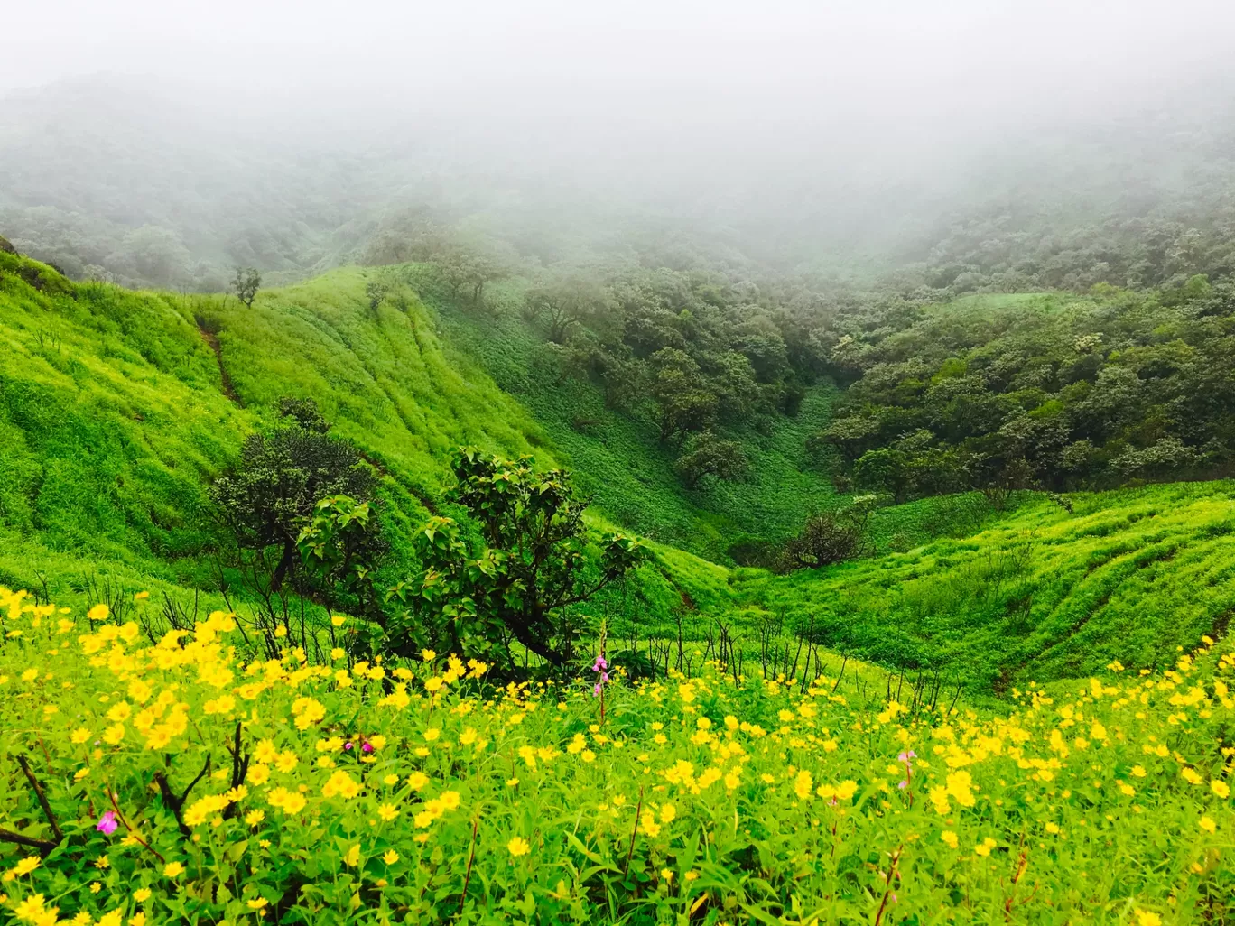 Photo of Rajgad Fort By sanika doke