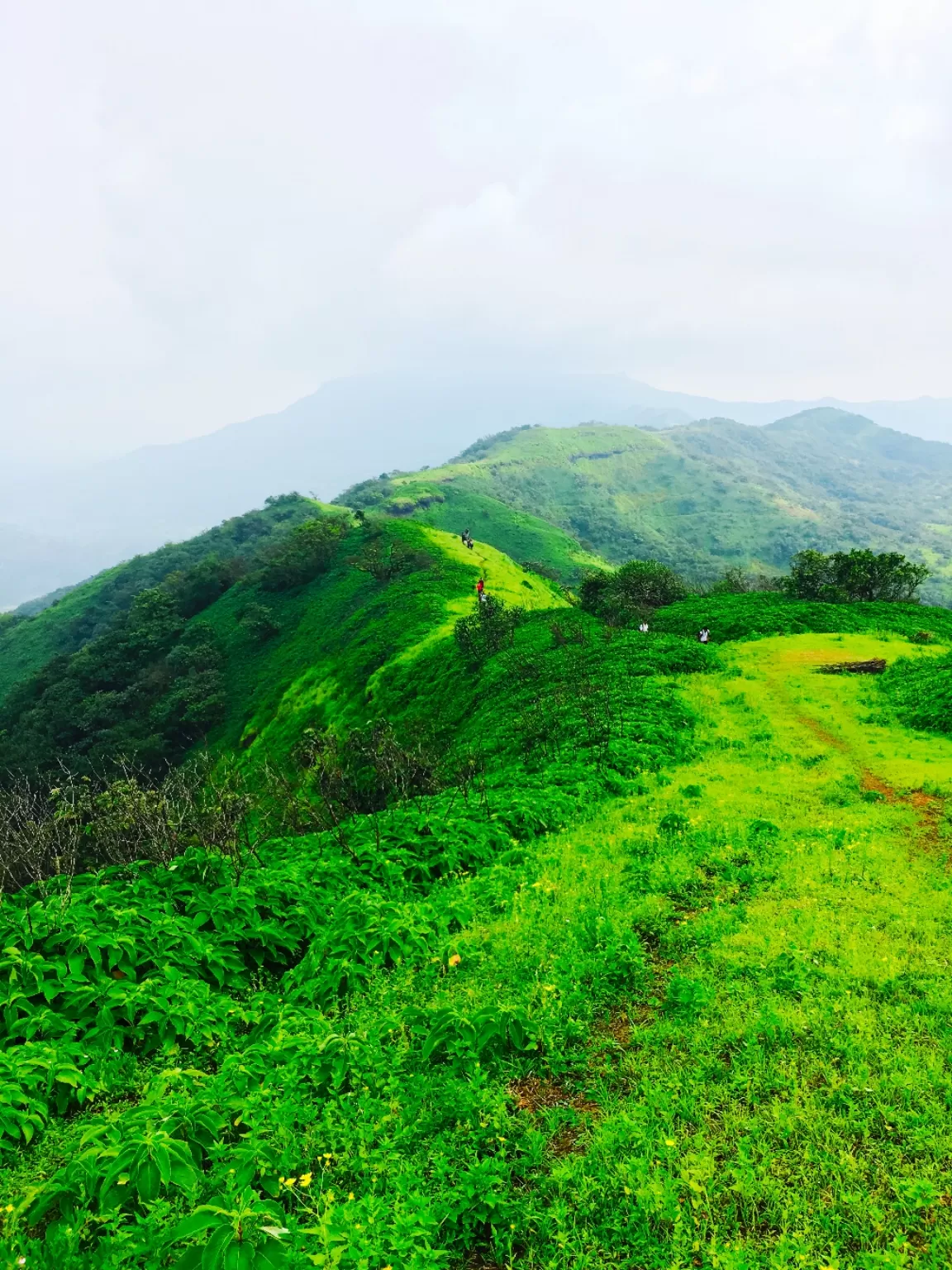 Photo of Rajgad Fort By sanika doke