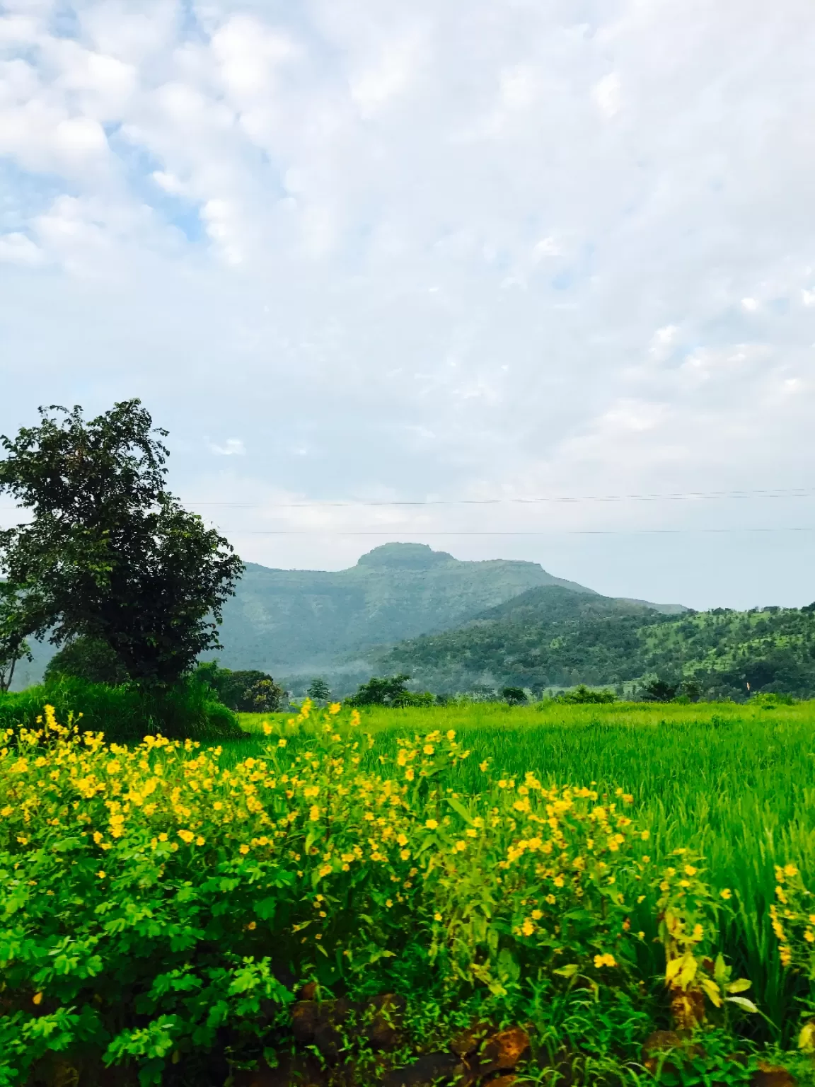 Photo of Rajgad Fort By sanika doke