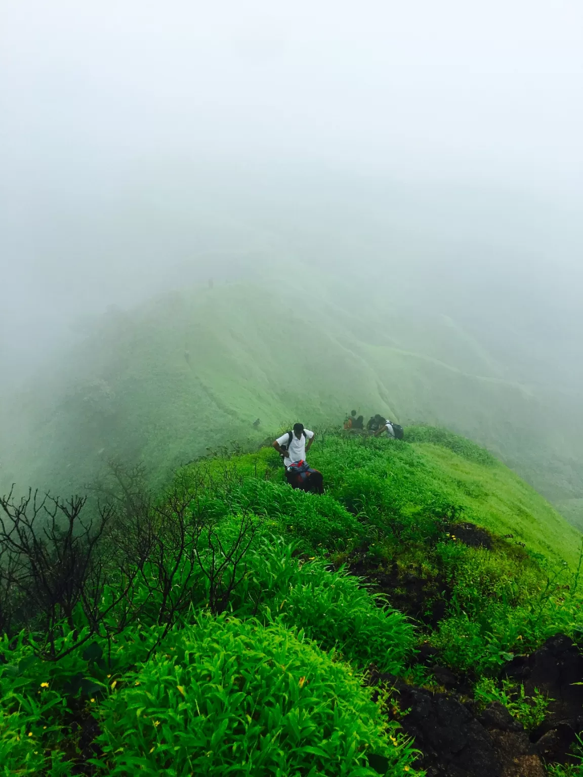 Photo of Rajgad Fort By sanika doke