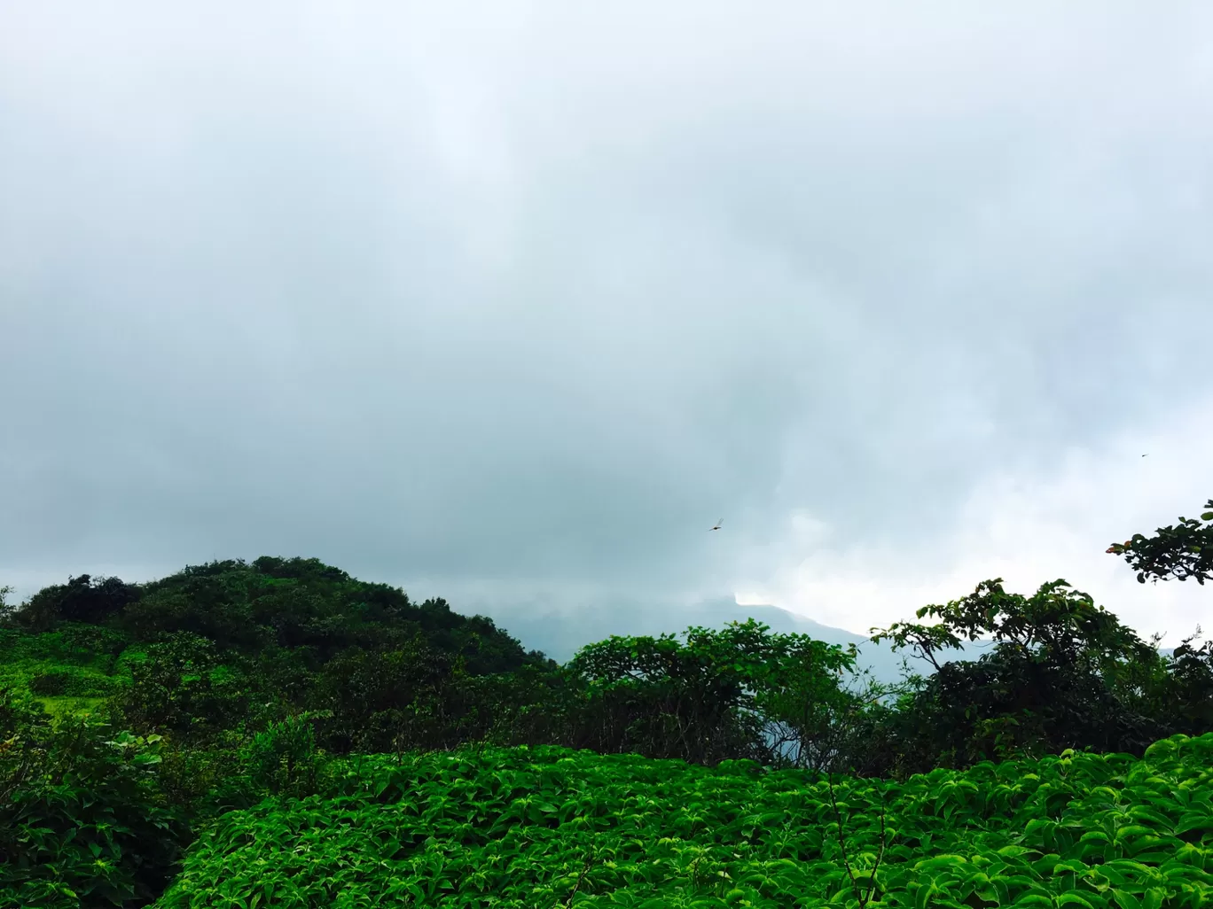 Photo of Rajgad Fort By sanika doke
