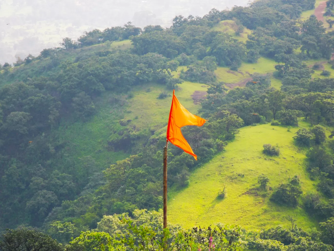 Photo of Rajgad Fort By sanika doke