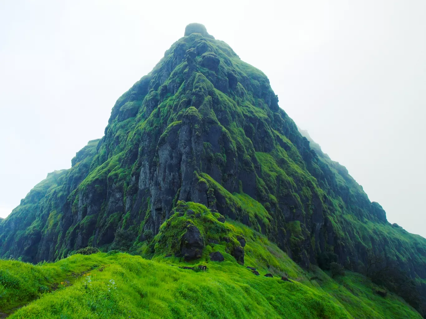Photo of Rajgad Fort By sanika doke