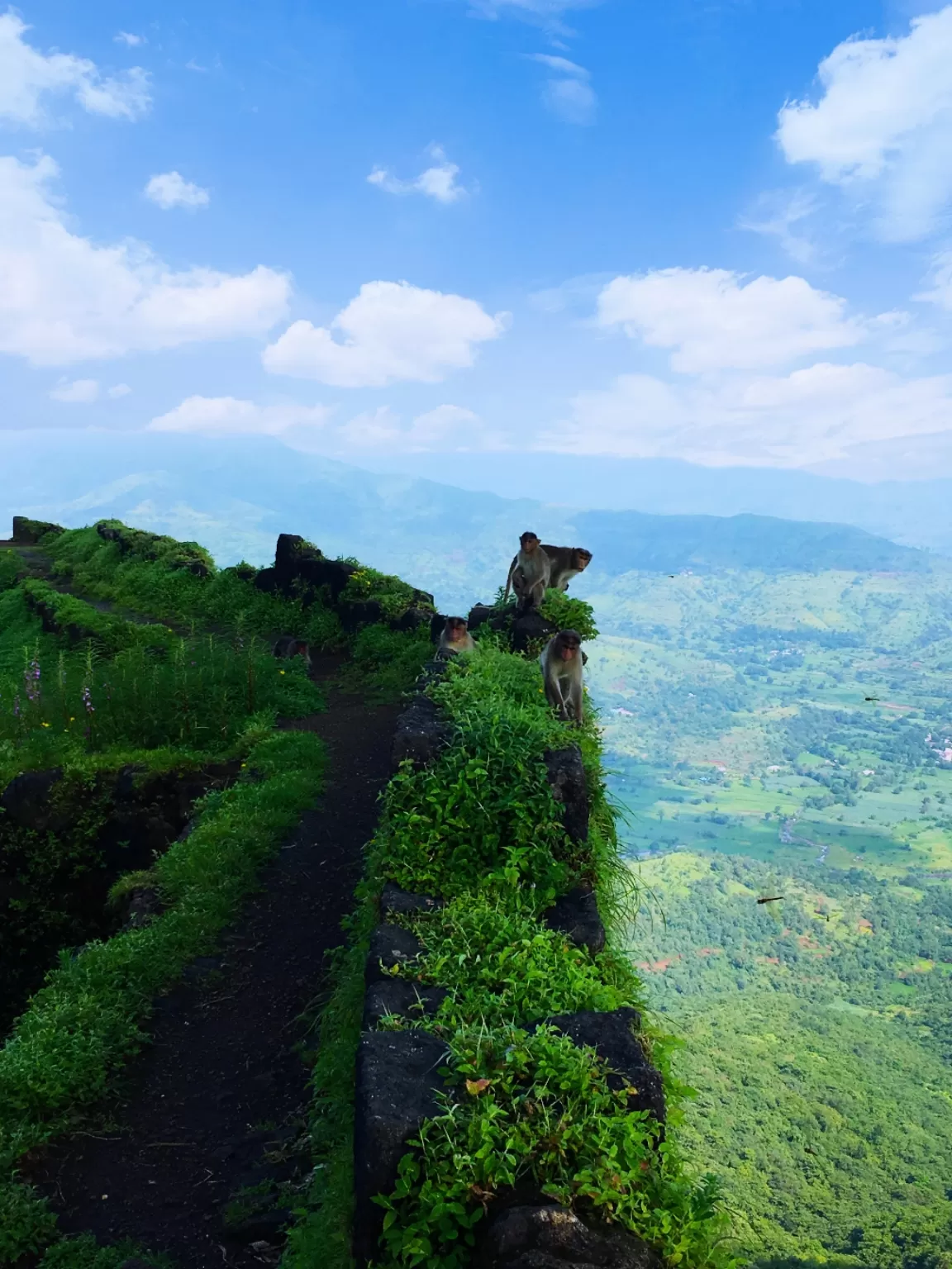 Photo of Rajgad Fort By sanika doke