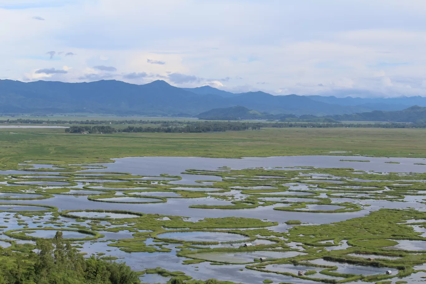 Photo of Loktak Lake By MONALISA (hungrywanderer)