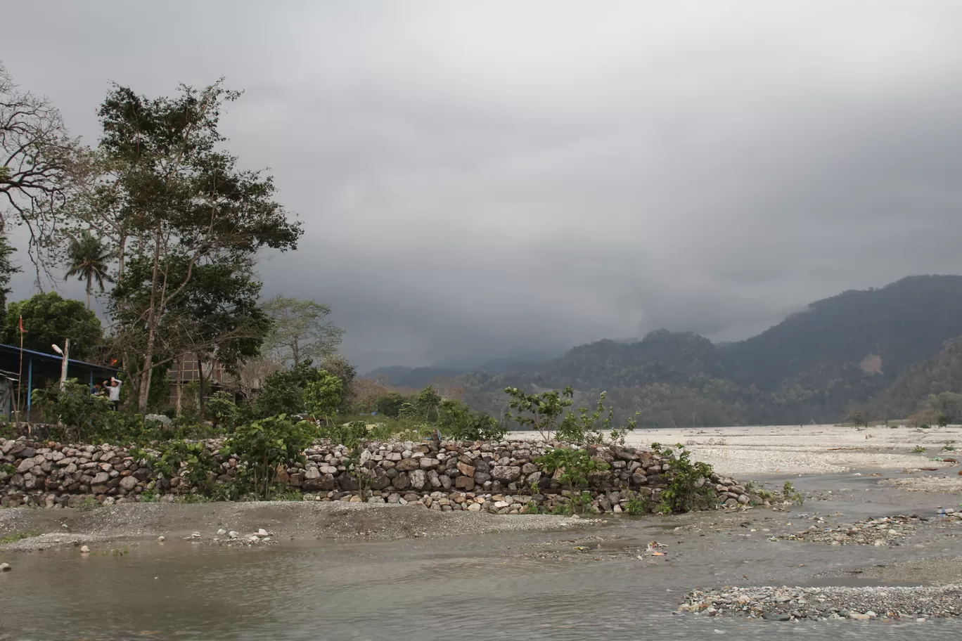 Photo of Buxa Tiger Reserve By MONALISA (hungrywanderer)