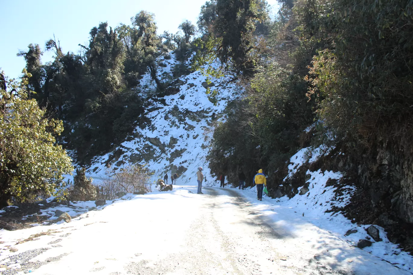 Photo of Mayodia Pass By MONALISA (hungrywanderer)