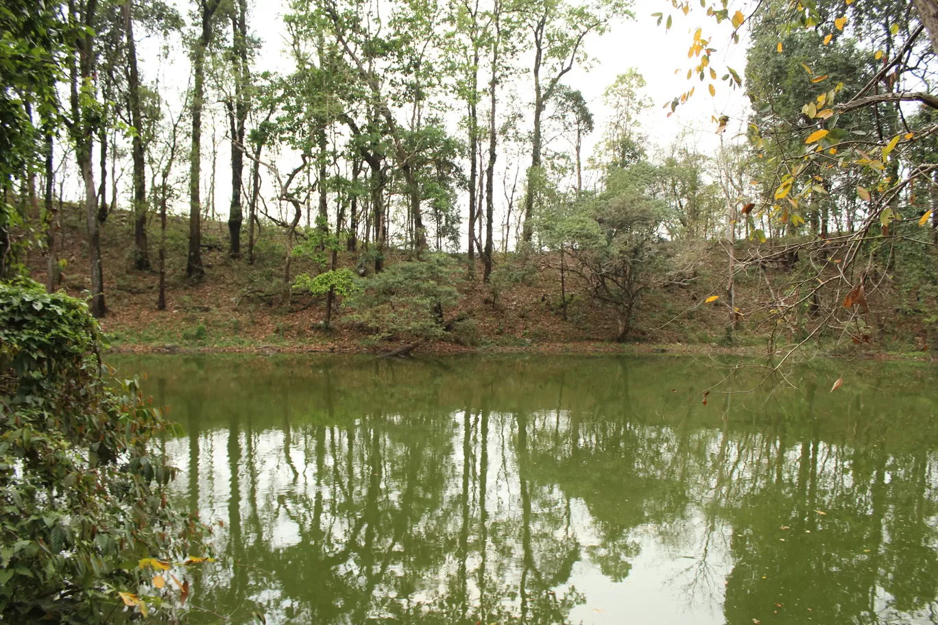 Photo of Buxa Tiger Reserve By MONALISA (hungrywanderer)
