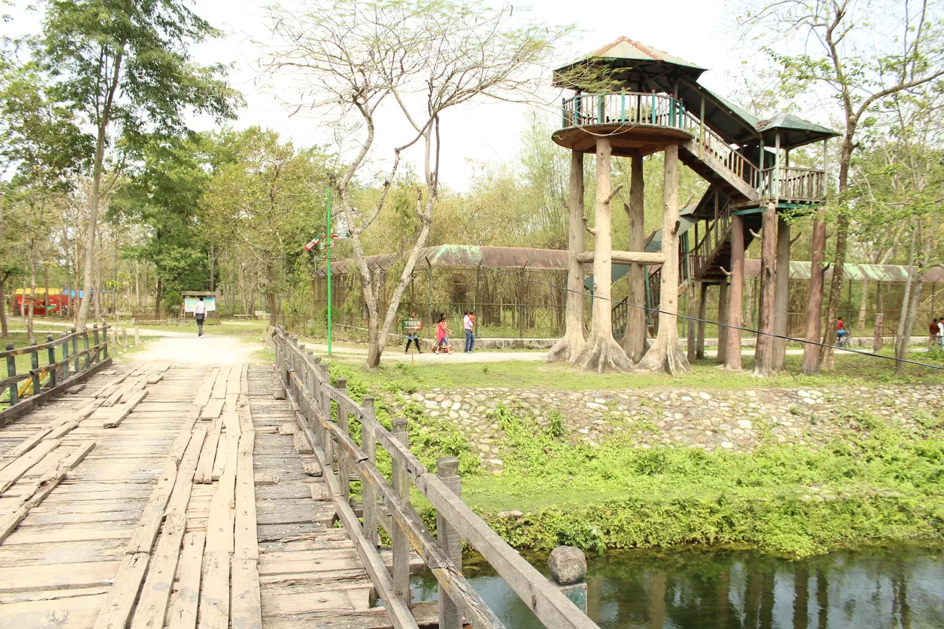 Photo of Buxa Tiger Reserve By MONALISA (hungrywanderer)