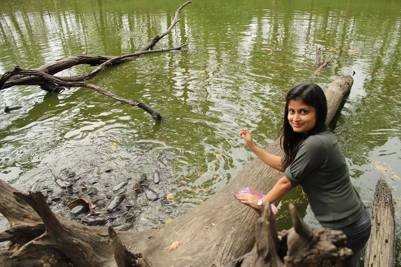 Photo of Buxa Tiger Reserve By MONALISA (hungrywanderer)
