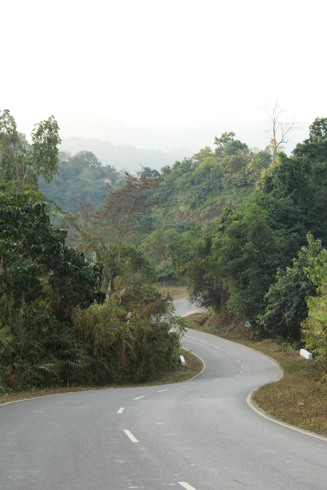Photo of Pangsau Pass By MONALISA (hungrywanderer)