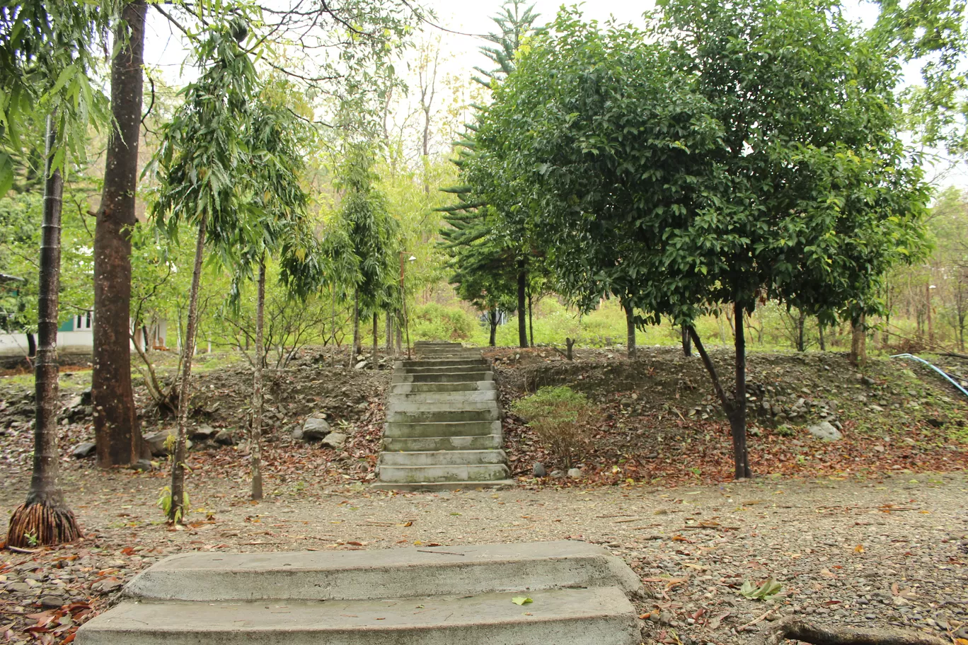 Photo of Buxa Tiger Reserve By MONALISA (hungrywanderer)