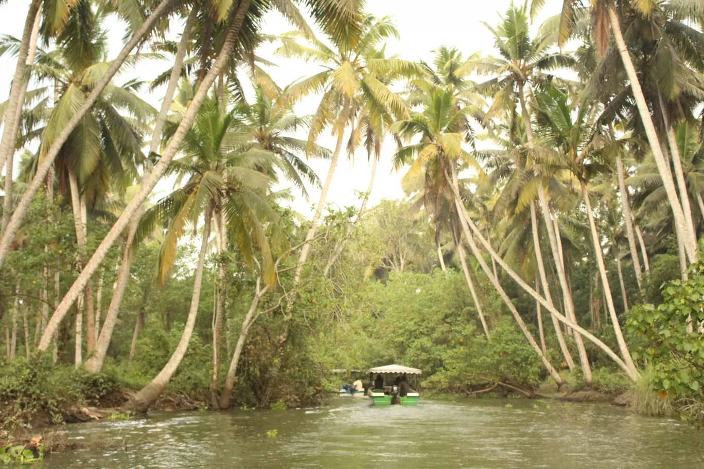 Photo of Poovar By MONALISA (hungrywanderer)