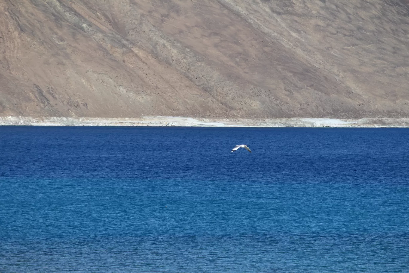 Photo of Pangong Tso By MONALISA (hungrywanderer)