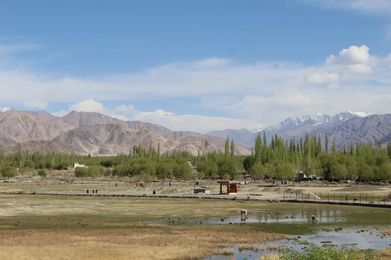 Photo of Leh By MONALISA (hungrywanderer)