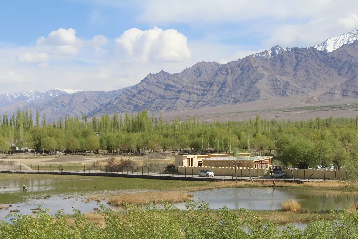 Photo of Leh By MONALISA (hungrywanderer)