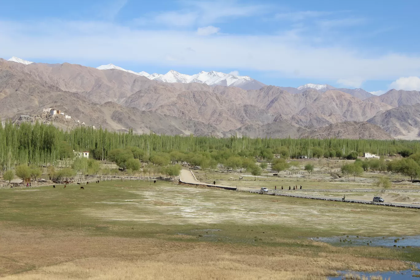 Photo of Leh By MONALISA (hungrywanderer)