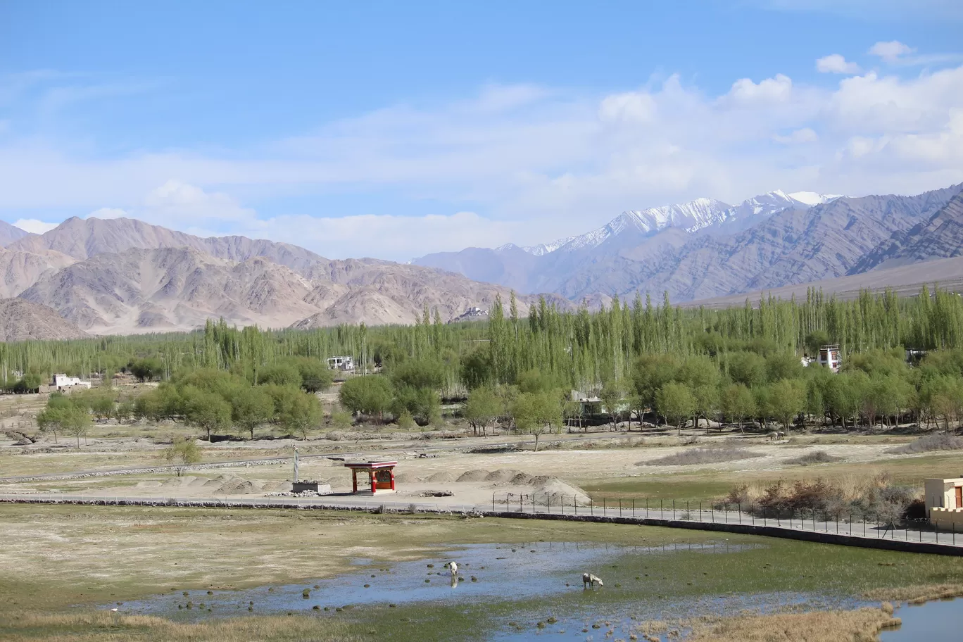 Photo of Leh By MONALISA (hungrywanderer)